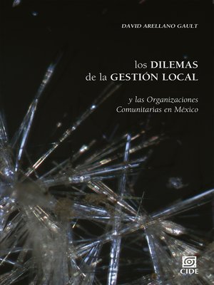 cover image of Los dilemas de la gestión local